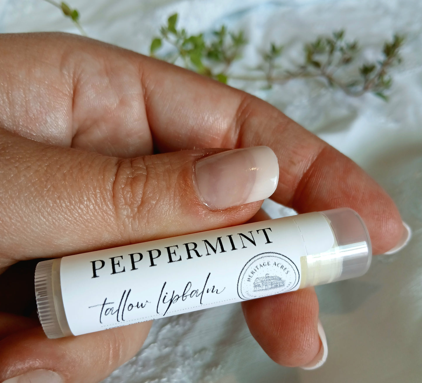 Peppermint Tallow Lip Balm