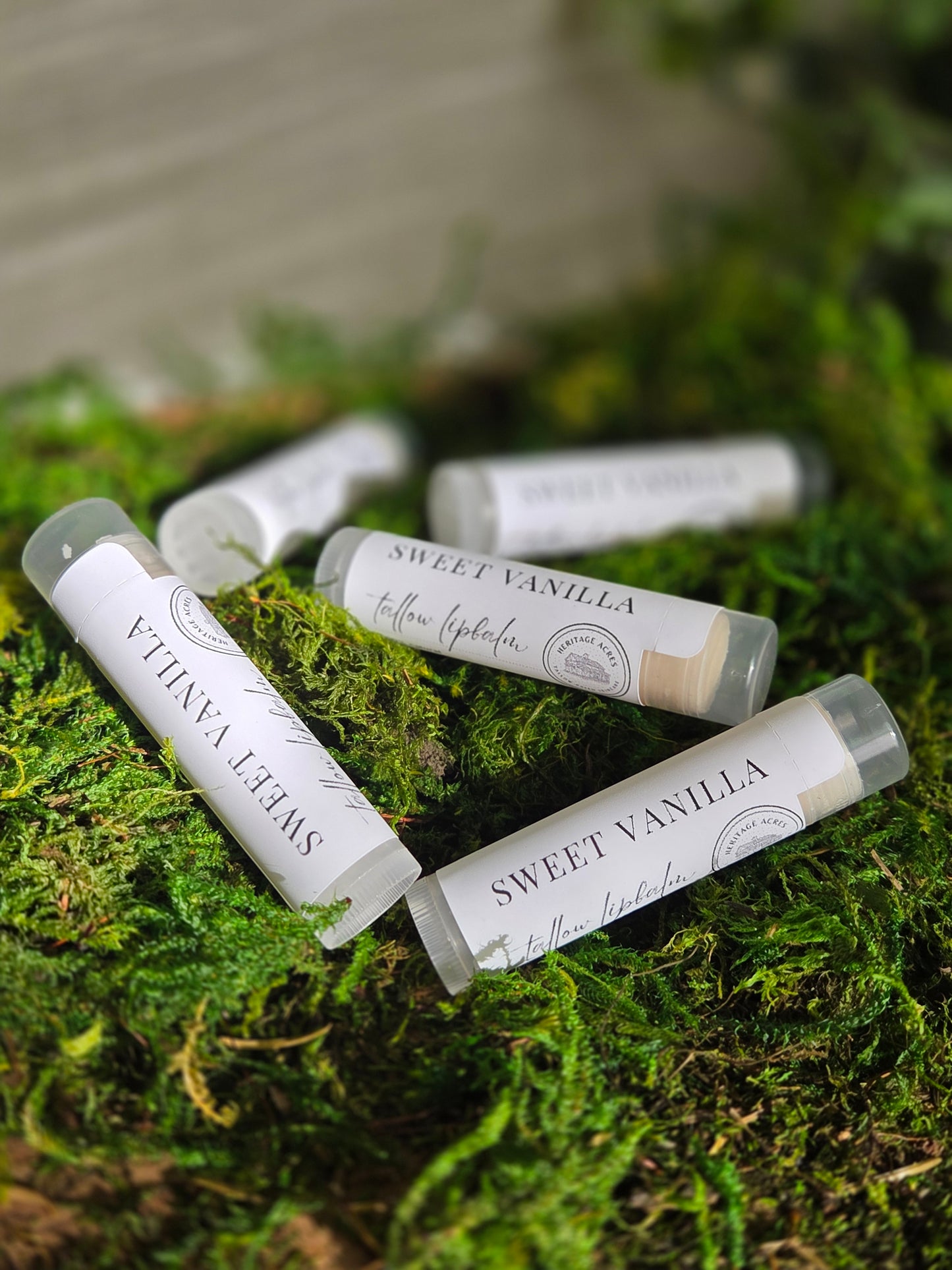 Sweet Vanilla Tallow Lip Balm