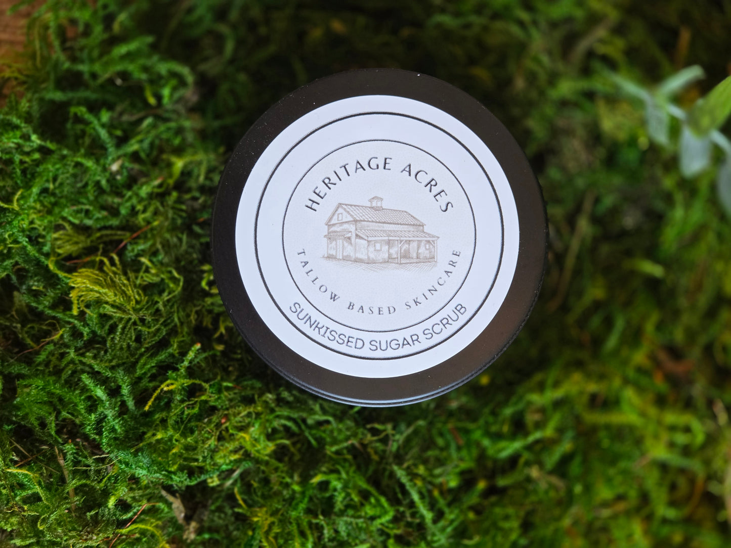 Sunkissed Sugar Scrub